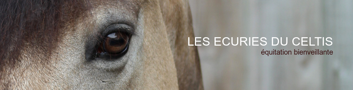 LES ECURIES DU CELTIS